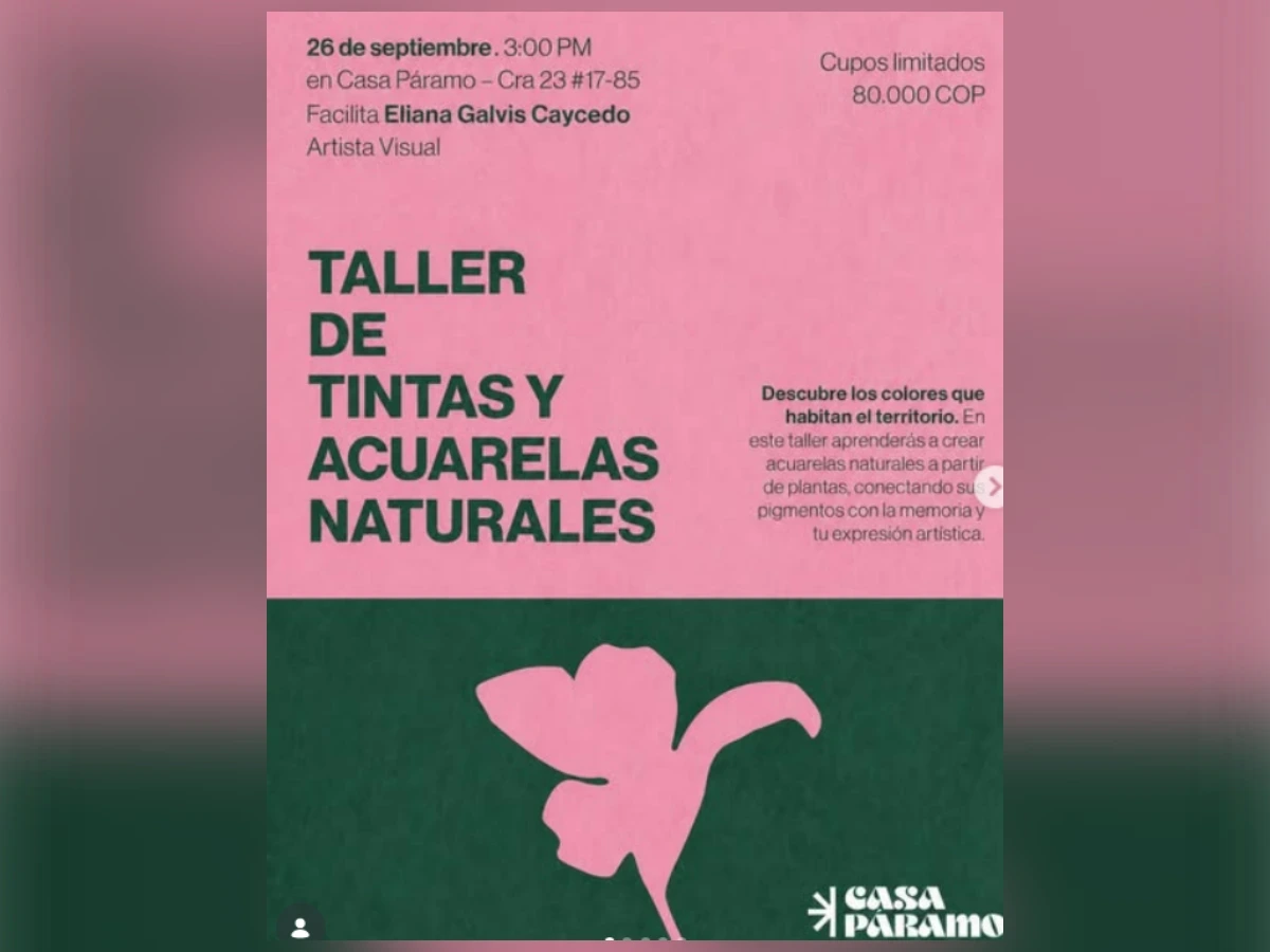 Taller de Tintas y Acuarelas Naturales